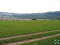 thn_Troubelice 2006 072.jpg